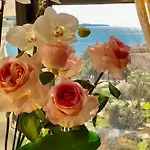 Amarilis Luxury * Sarandë