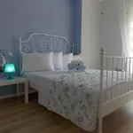 Amarilis Luxury