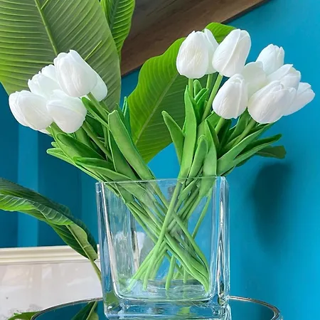 Apartment Amarilis Luxury
