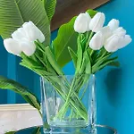 Apartment Amarilis Luxury