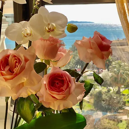 Amarilis Luxury * Sarandë