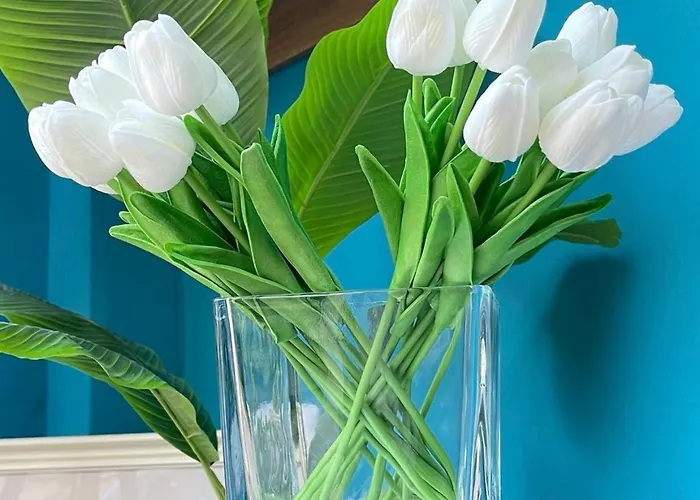 Appartement Amarilis Luxury