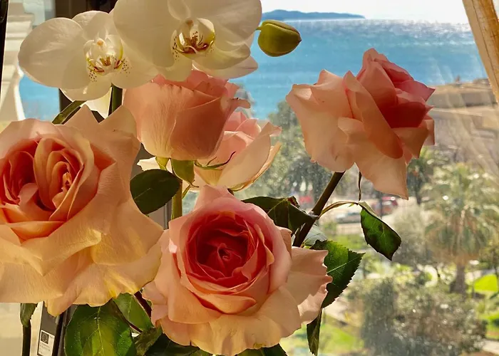 Amarilis Luxury * Sarandë